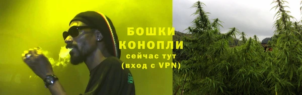 2c-b Белокуриха